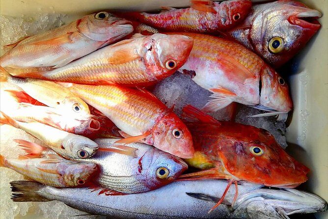 Capri Fishing Excursion with Snorkeling and Lunch from Sorrento - A Detailed Look at the Capri Fishing Excursion
