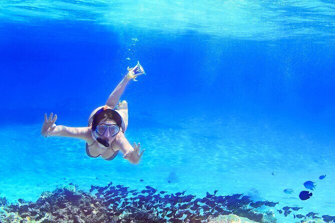 Capri Island Boat Tour from Amalfi with Snorkeling | Small Group - Key Points