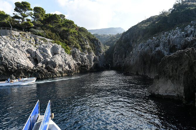 Capri One Day: Visit the Island by Sea and Land with Blue Grotto - Who Is This Tour Best For?