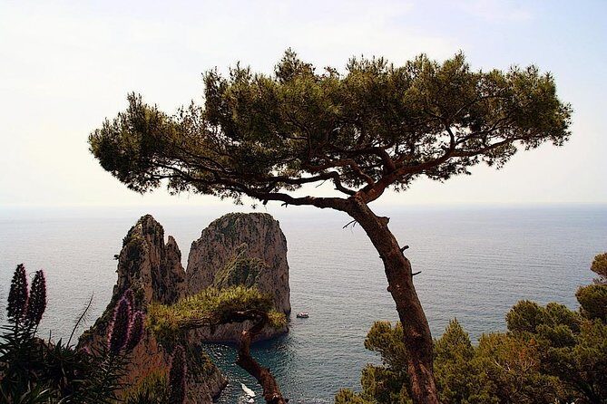 Capri Private Full Day Tour from Rome - Key Points