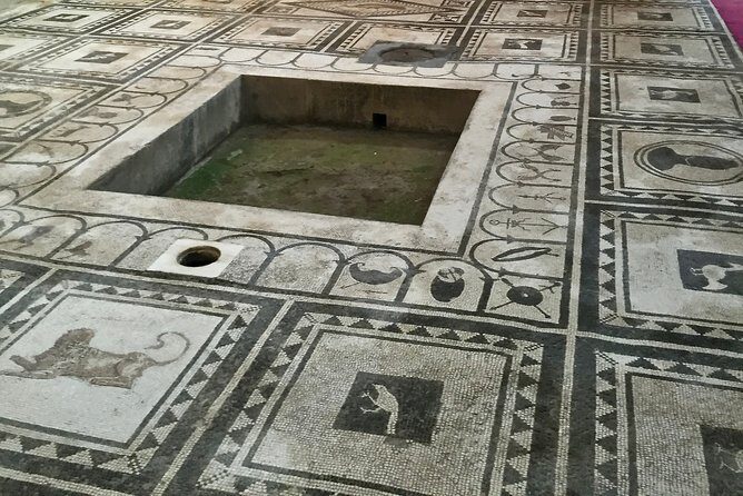 Capri, Sorrento and Pompeii Private Tour - Who Will Love This Tour?