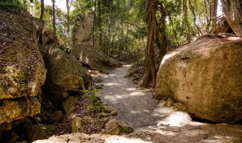 Capricorn Caves, Australia: 45-Minute Cathedral Cave Tour - Exploring Capricorn Caves: A 45-Minute Guided Journey into Australia’s Underground Wonders