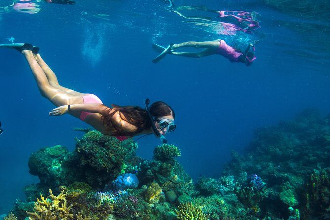 Capt Cook Cruises Super Saver Combo: Day Sail + Dinner Cruise - The Whole Experience in Detail