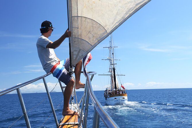 Capt Cook Cruises Super Saver Combo: Day Sail + Dinner Cruise - The Sum Up