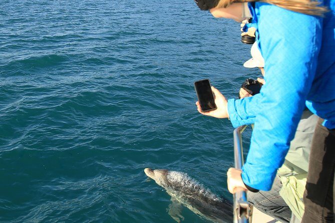 Captain Cook and Dolphin Cruise - Key Points
