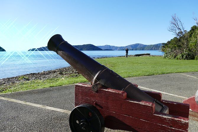 Captain Cook and Dolphin Cruise - The Sum Up