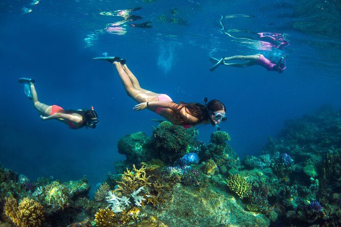 Captain Cook Cruises Fiji - Island and Reef Day Cruise - Final Thoughts: Is it Worth It?