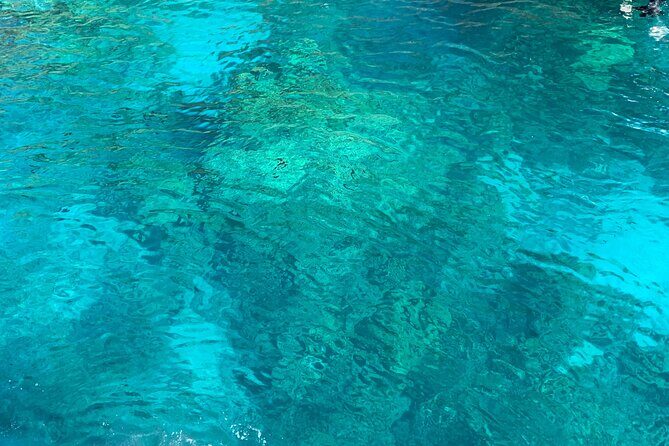 Captain Cook Reef Snorkeling of Kealakekua Bay - The Value of This Tour: Why It’s Worth Considering