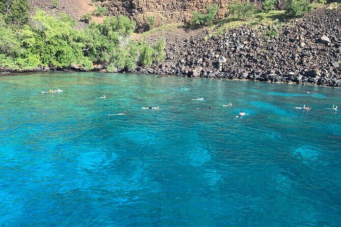 Captain Cook Reef Snorkeling of Kealakekua Bay - Who Will Love This Tour?