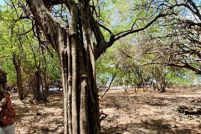 Captainmanou water excursions - Who Will Love This Tour?