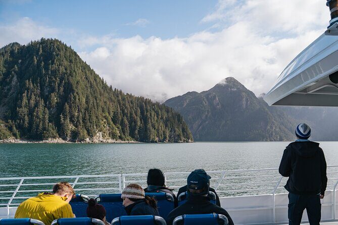 Captain's Choice Kenai Fjords National Park Tour from Seward - Who Will Love This Tour?