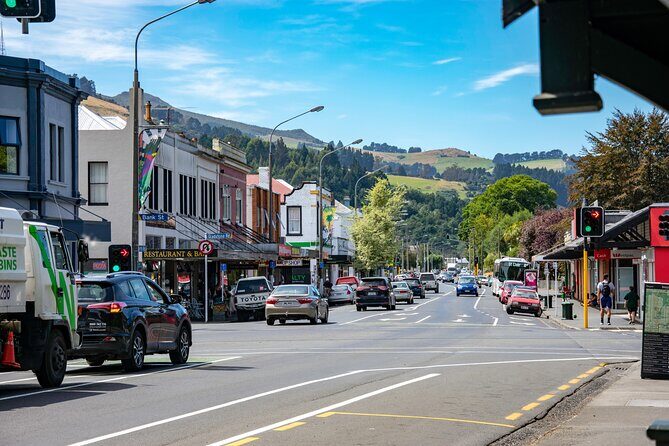 Captivating Side of Dunedin Private Walking Tour for Couples - FAQ