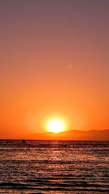 Capture LA's Coastal Magic-Wildlife, Marina Photography Tour - FAQ
