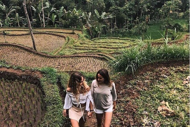 Car Hire in Lombok (Include Driver, Car, & Fuel) - Who Will Love This Tour?