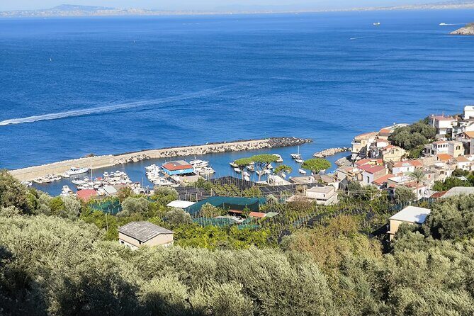 Car Tour admiring Capri and visiting Positano and Amalfi - FAQ
