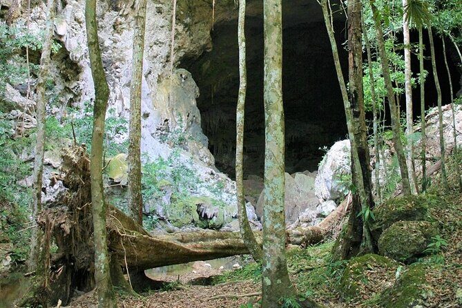 Caracol Mayan Ruins Rio On Pools and Rio Frio Cave Tour in Belize - The Sum Up