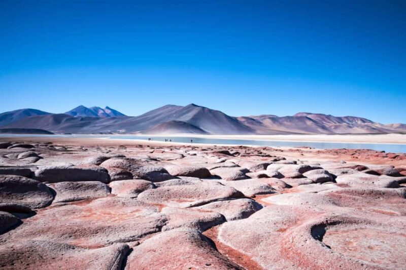 Caracoles: Red Stones of Atacama and Chaxa Guided Day Trip - Why This Tour Works