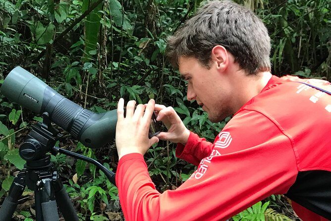 Carara National Park Birdwatching Private Guided Tour Experience. - The Experience from a Birdwatcher’s Perspective