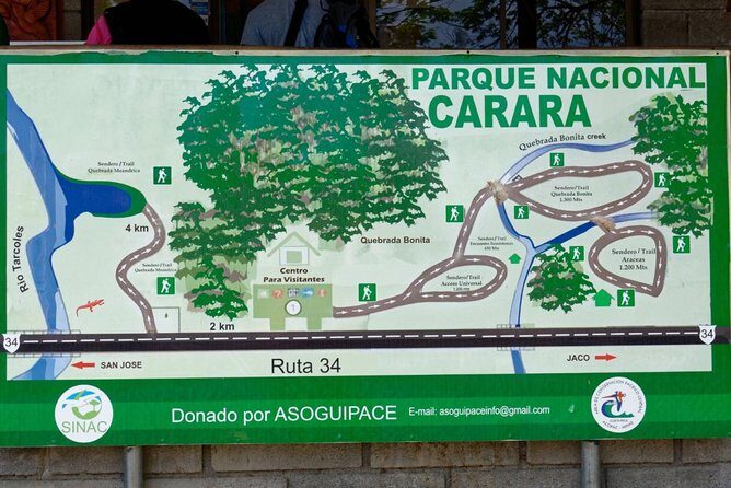 Carara National Park Birdwatching Private Guided Tour Experience. - FAQ