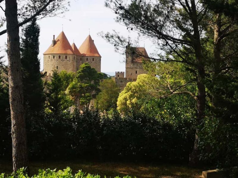 Carcassonne Small Group Half-day tour from Toulouse - Who Should Consider This Tour?