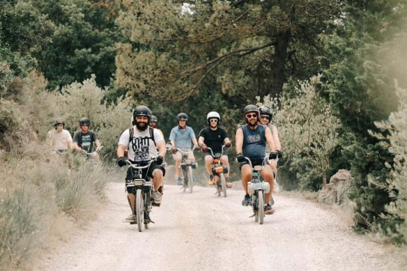 Carcassonne: Solex tour with guide and wine tasting - Carcassonne: Solex tour with guide and wine tasting