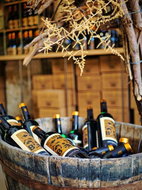 Carcassonne: Solex tour with guide and wine tasting - The Value of This Tour