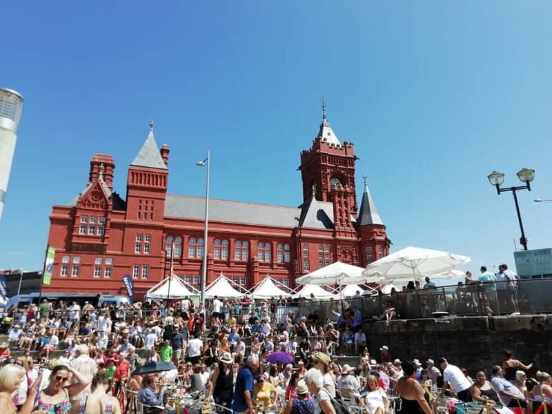Cardiff Bay: Highlights Private Guided Tour - Who Will Love This Tour?