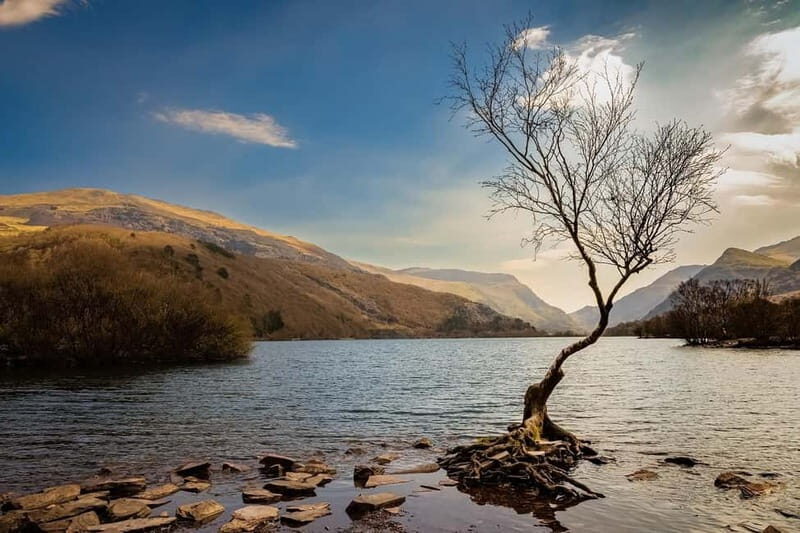 Cardiff, Brecon Beacons & Snowdonia Online Travel Guide - Why This Guide Offers Great Value