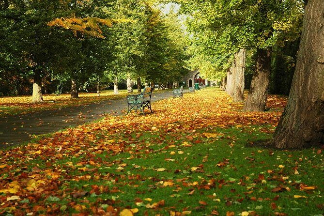 Cardiff Day Tour from London with Local Guide (Visit Wales) - FAQ