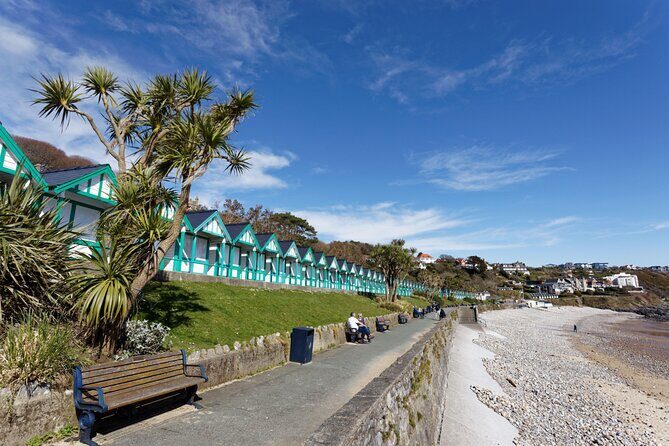 Cardiff: Gower Peninsula's Cliffs & Bays Scenic Day Tour - Who Will Enjoy This Tour?