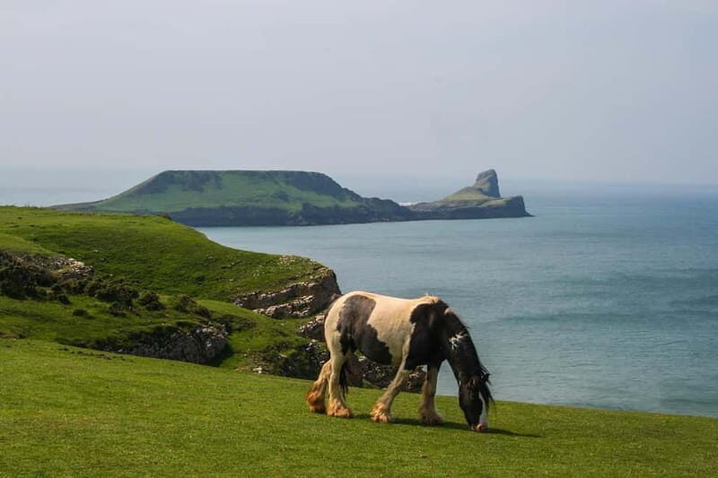 Cardiff: Private Day Tour Gower's Cliffs & Beaches - Exploring the Gower Peninsula: A Detailed Look