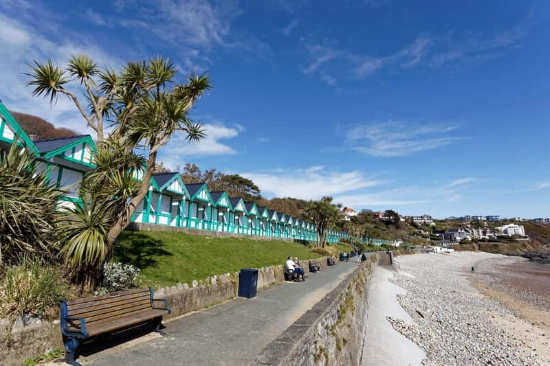 Cardiff: Private Day Tour Gower's Cliffs & Beaches - Why Choose This Tour?