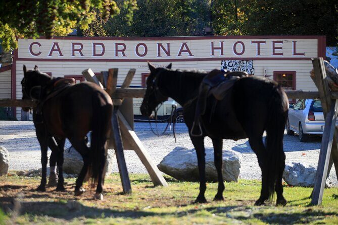 Cardrona High Country Pub Trail Horse Riding Trek (Intermediate+) - Experience the Rugged Beauty of Queenstown on the Cardrona High Country Pub Trail Horse Riding Trek