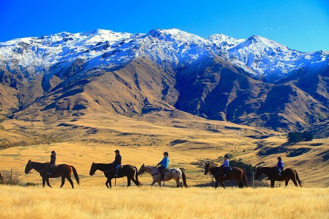Cardrona High Country Pub Trail Horse Riding Trek (Intermediate+) - Key Points