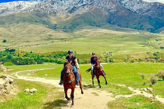 Cardrona High Country Pub Trail Horse Riding Trek (Intermediate+) - Pricing, Value, and Booking Tips