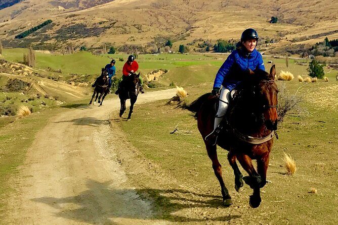 Cardrona High Country Pub Trail Horse Riding Trek (Intermediate+) - FAQ