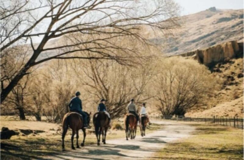 Cardrona Valley: Horse Trekking Experience - Why We Love This Horse Trekking Experience