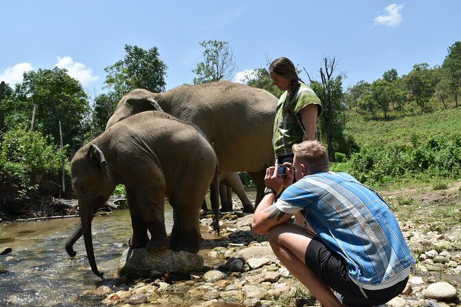 Care Pride Elephants: Full-Day Tour Experience - Who Should Consider This Tour?