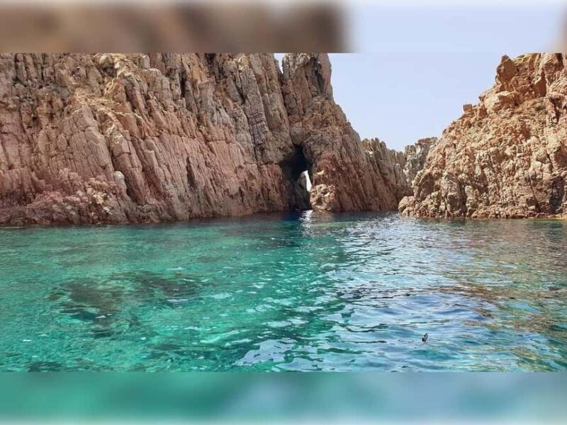 Cargèse: Capo Rosso "Snorkeling" and Sea Cave Tour - Key Points
