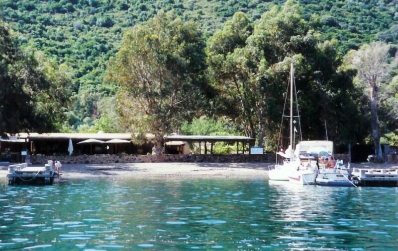 Cargèse:Scandola/Piana/Stop in Girolata Half-Day on RIB boat - Who Is This Tour Best For?