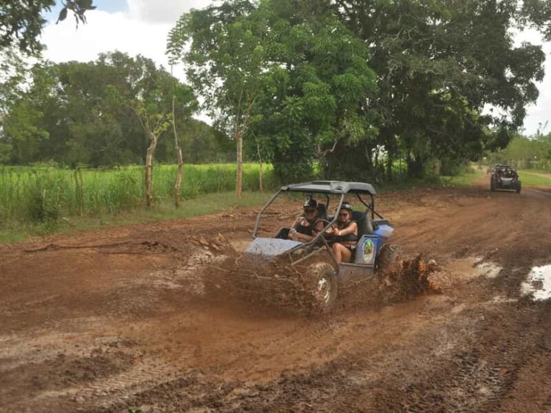 Caribbean Buggy Escape  Bayahibe Jungle & Safari - A Closer Look at the Caribbean Buggy Escape Experience