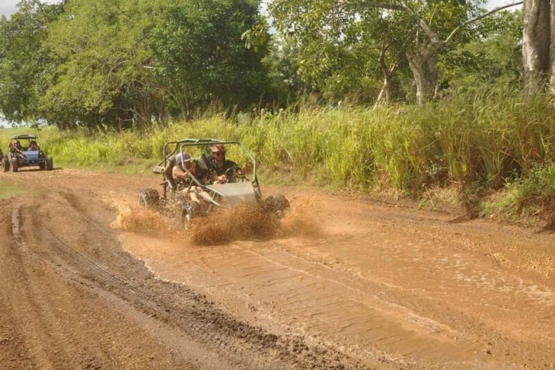 Caribbean Buggy Escape  Bayahibe Jungle & Safari - Authenticity and Guide Expertise: The Heart of the Tour