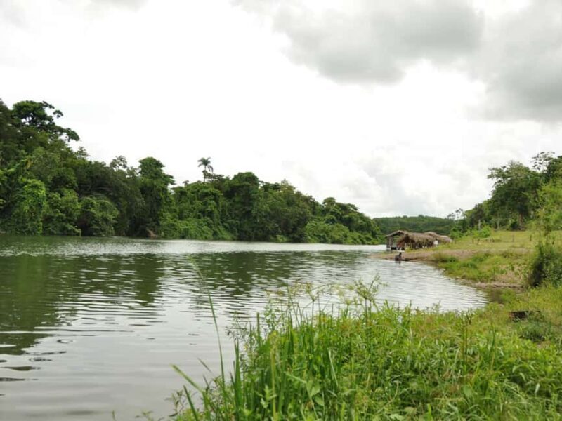 Caribbean Buggy Escape  Bayahibe Jungle & Safari - Final Thoughts: Who Will Love This Tour?