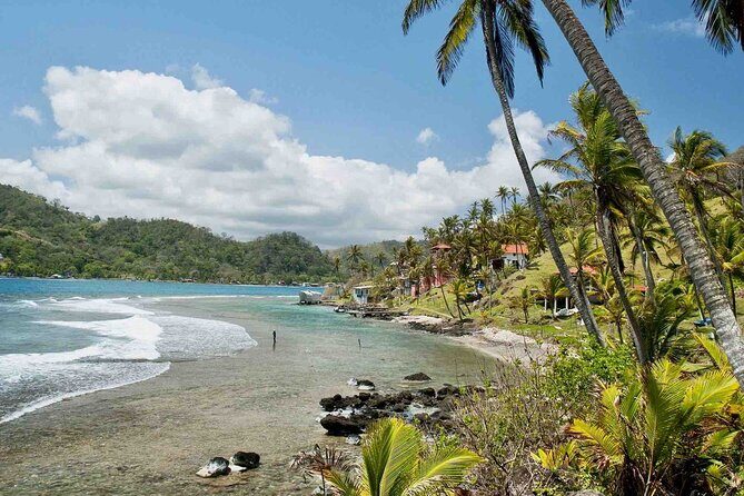 Caribbean Day Tour: Isla Grande, Mamey, Monkey Island & Portobelo - FAQ
