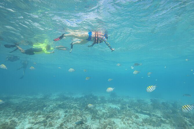 Caribbean Star Snorkeling Tour - FAQs