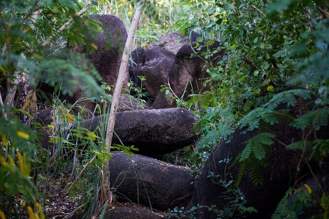 Caribbean Stonehenge - Hike on Green Castle Hill, Antigua. - Final Thoughts: Who Should Join?