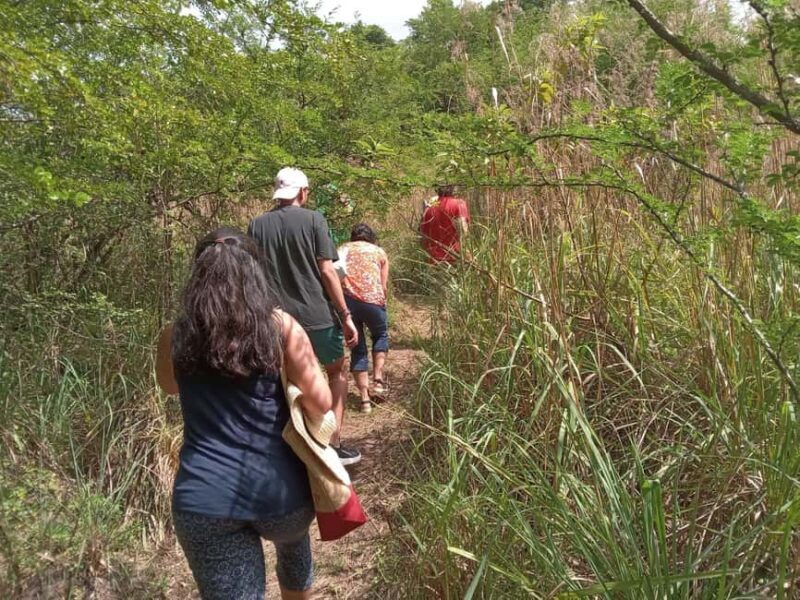 Caribbean Stonehenge - Hike on Green Castle Hill, Antigua. - Explore Antigua’s Hidden Treasure: Caribbean Stonehenge Hike on Green Castle Hill