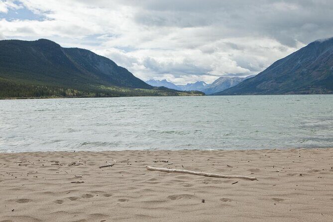 Caribou Crossing Adventure Tour - Experience the Yukon Like Never Before: The Caribou Crossing Adventure Tour