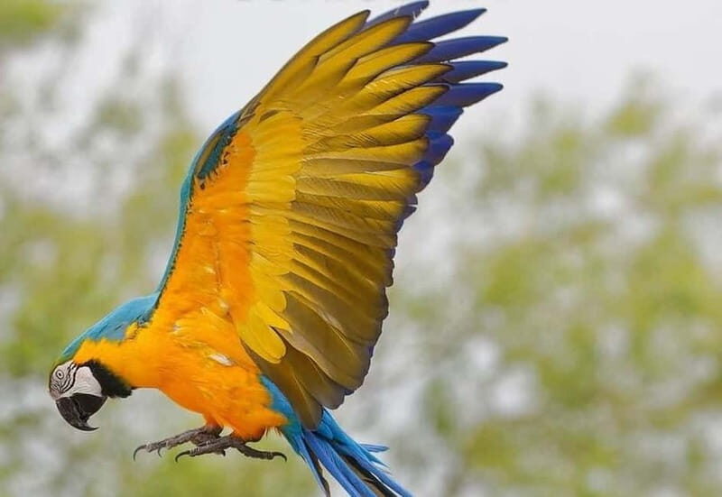 Carini: admission ticket to the Biopark of Sicily - Who Should Consider Visiting?
