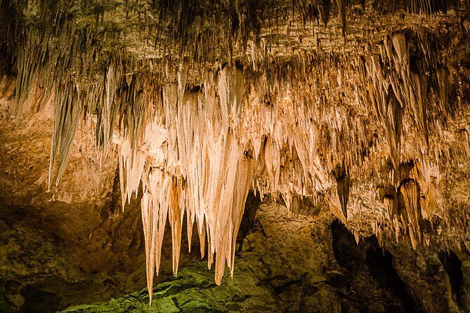 Carlsbad Caverns Self-Guided Walking Tour (Not a ticket) - Key Points
